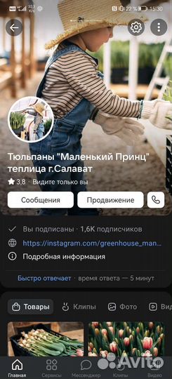 Тюльпаны оптом