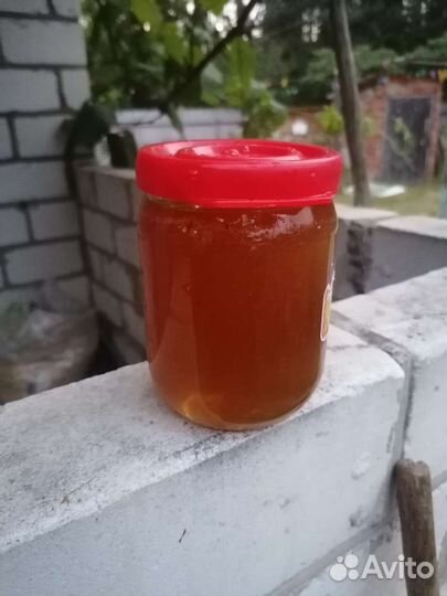 Мёд, пыльца