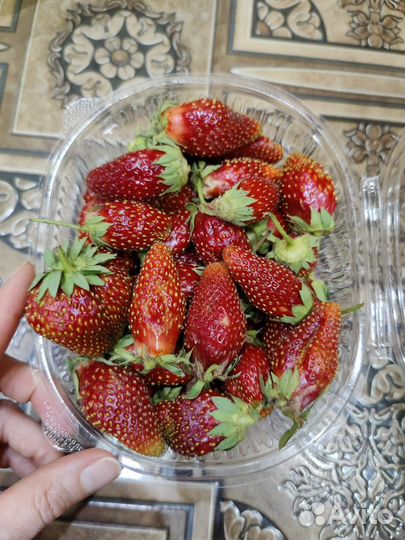 Клубника свежая