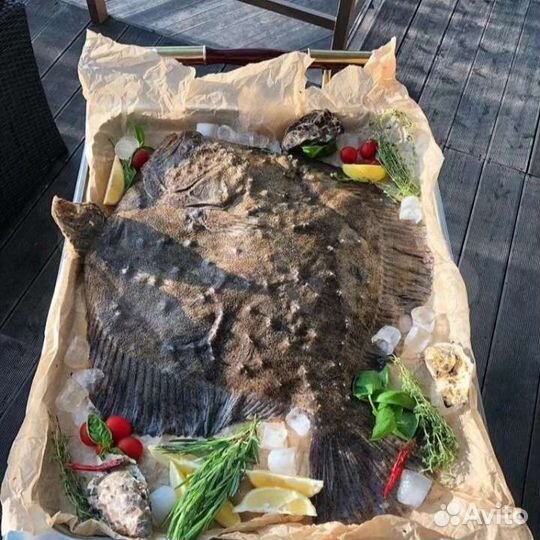 Камбала Калкан