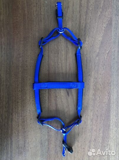 Шлейка для собак (small)