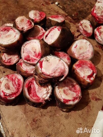 Кости для собак, обрезки говяжьи,семенники, вымя