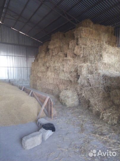 Сено луговое в тюках