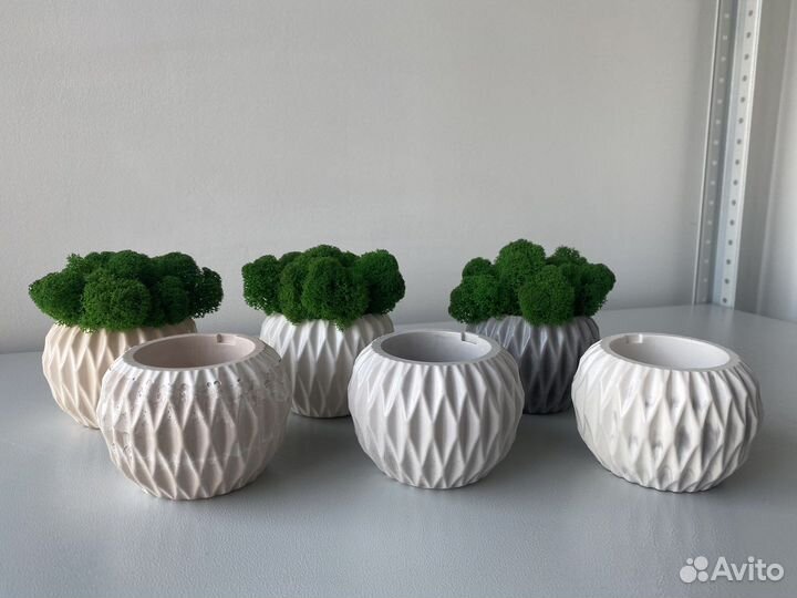 Кашпо со стабилизированным мхом