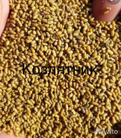 Смесь семян Народная кормовых трав