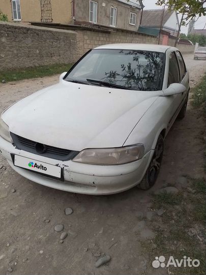 Opel Vectra 1.8 AT, 1997, 450 307 км