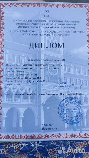 Кобель для вязки