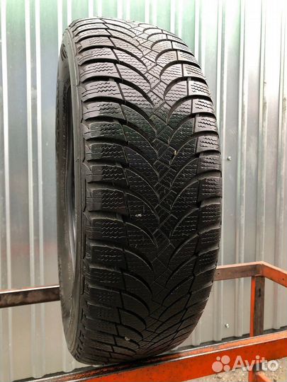 Nexen Winguard Snow G WH2 195/65 R15