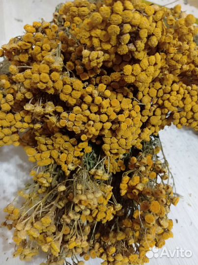 Травы - запарки для бани