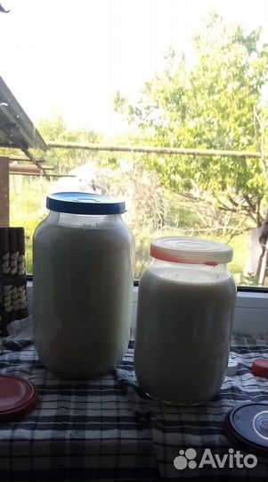 Козье молоко, масло,мацони,сметана,творог,сывротка