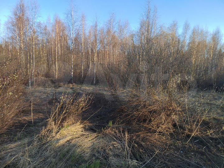 Участок 8,5 сот. (СНТ, ДНП)