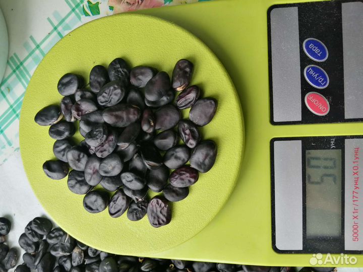 Семена бобов