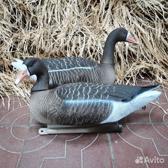 Гусь Белолобый плавающий Softplast