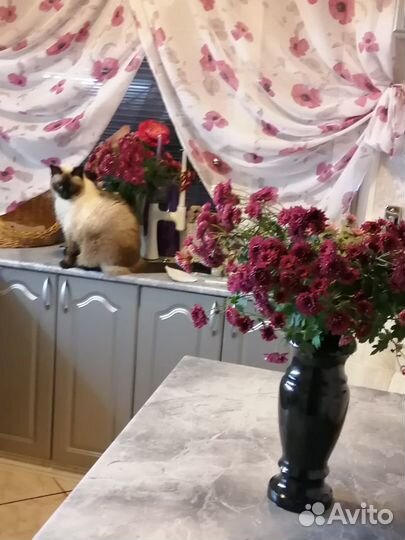 Ваза- карельский гранит к памятнику