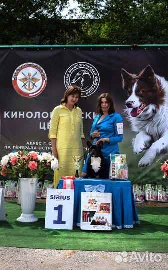Хендлер. Полный комплекс профессиональных услуг