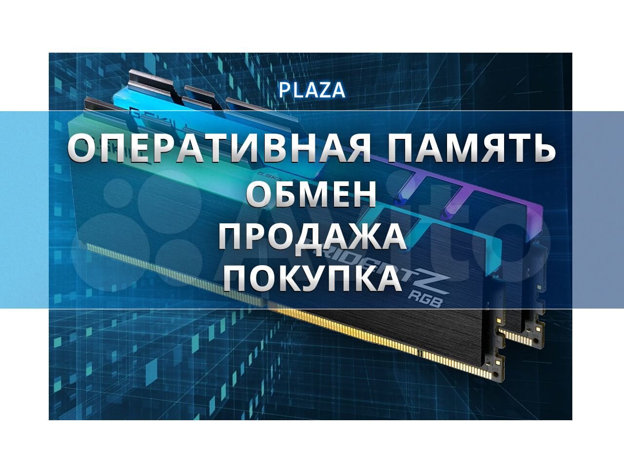 Plaza. Профиль пользователя на Авито