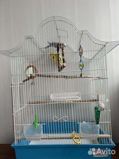 Клетка с 2 Попугаями