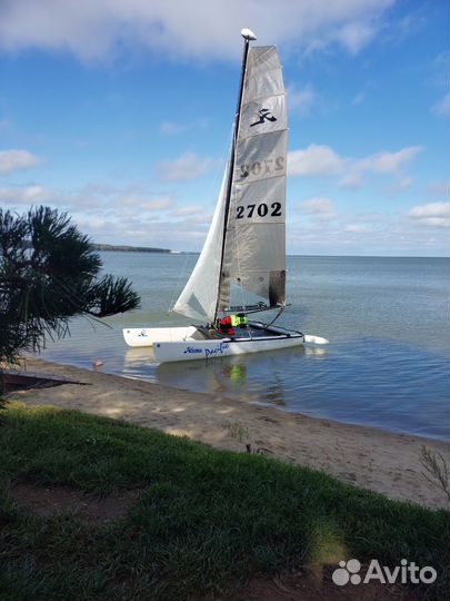 Личный водитель. Куршская коса, Янтарный, Балтийск