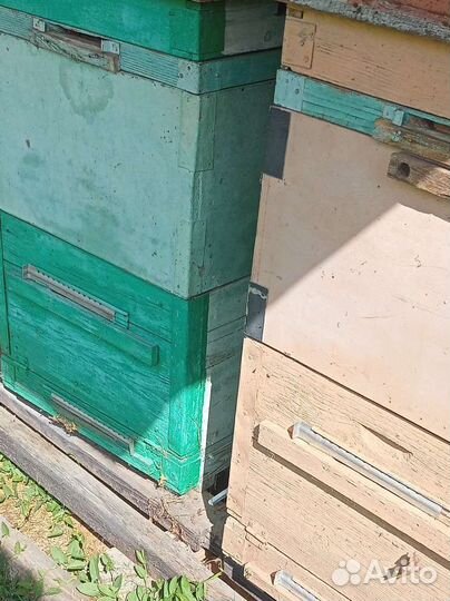 Пасечное оборудование