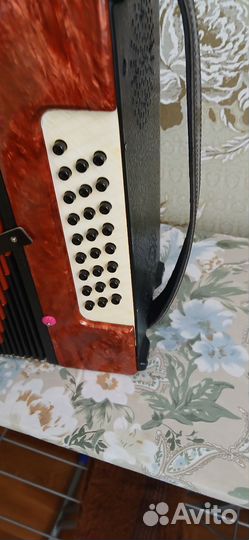 Гармонь Кубань