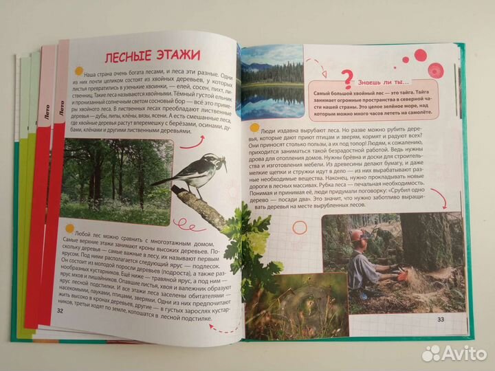 Энциклопедия 