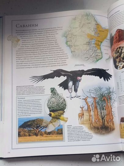 Энциклопедия-Атлас Животные и Мир