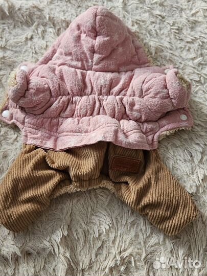 Шапка для собак мелких пород