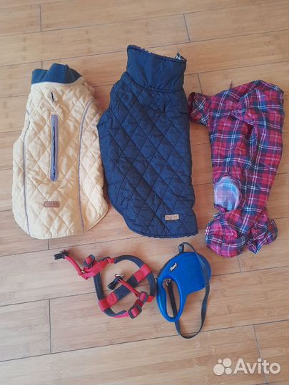 Костюмы и шлейка для собаки