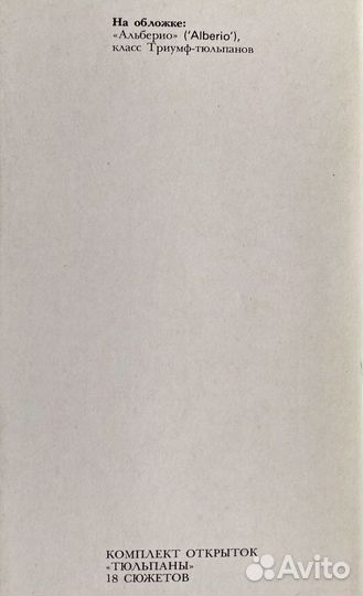 Коллекционные открытки « Тюльпаны»