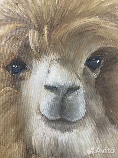Картина маслом на холсте альпаки