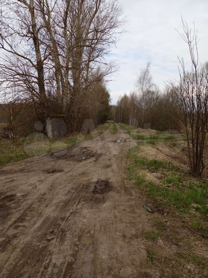 Участок 2,5 га (СНТ, ДНП)