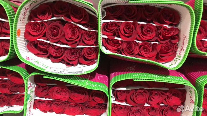 Цветы оптом