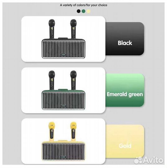 Караоке система sdrd SD 319 2 микрофона