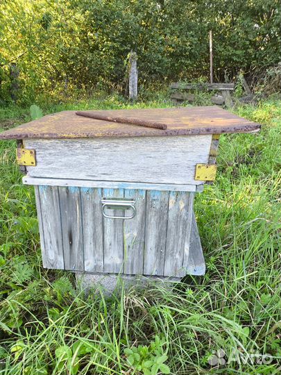 Ульи Дадан бу