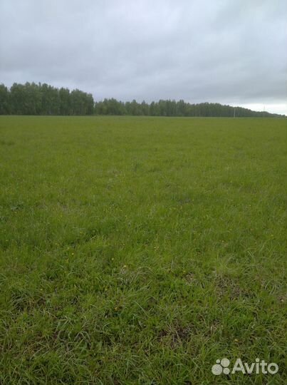 Сено в тюках с бесплатной доставкой