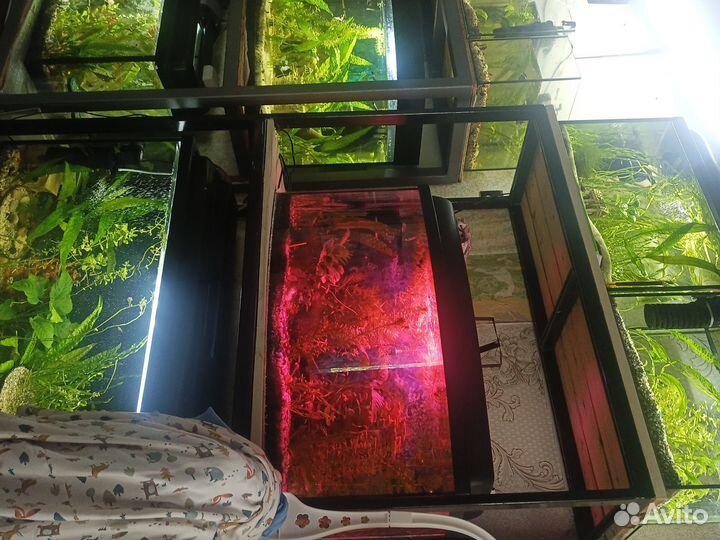 Мини аквариумная ферма