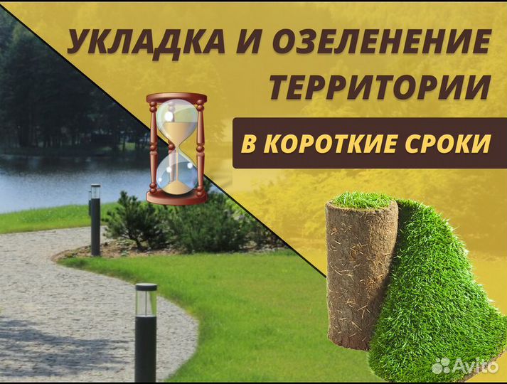 Стандарт рулонный газон