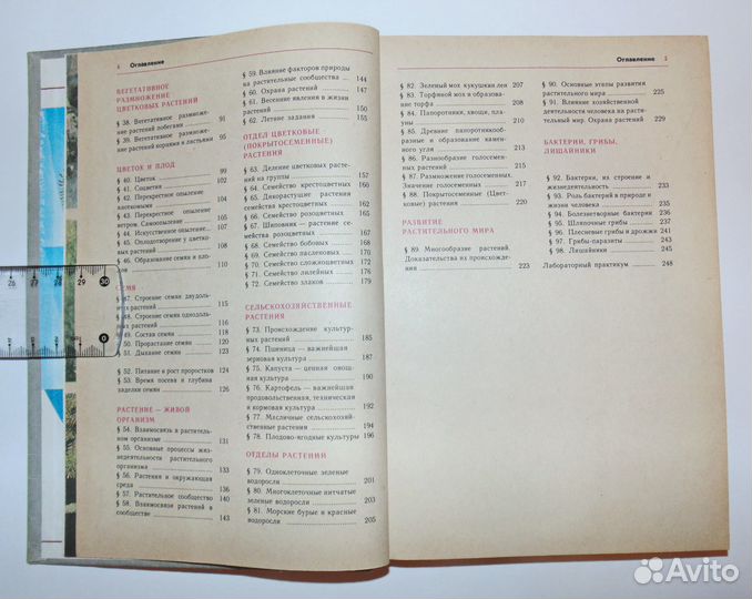 Корчагина Вера. Биология 5-6 класс - 1988 год