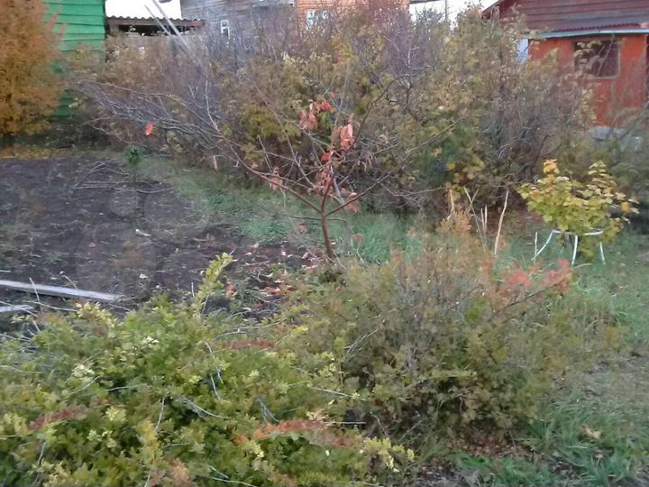 Участок 8 сот. (СНТ, ДНП)