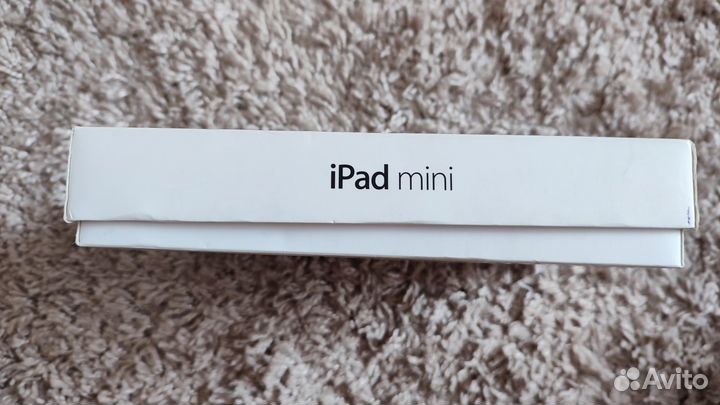 iPad mini