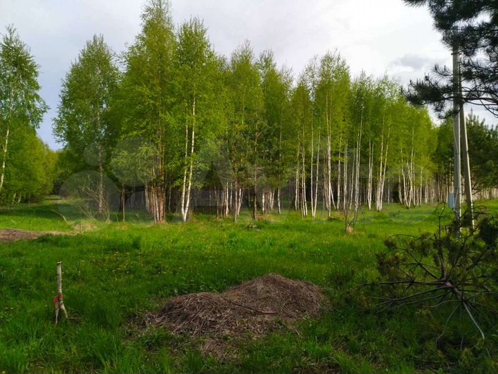 Участок 15 сот. (СНТ, ДНП)