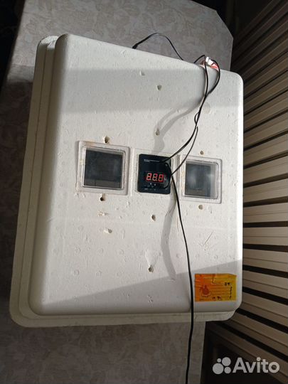 Инкубатор бытовой 