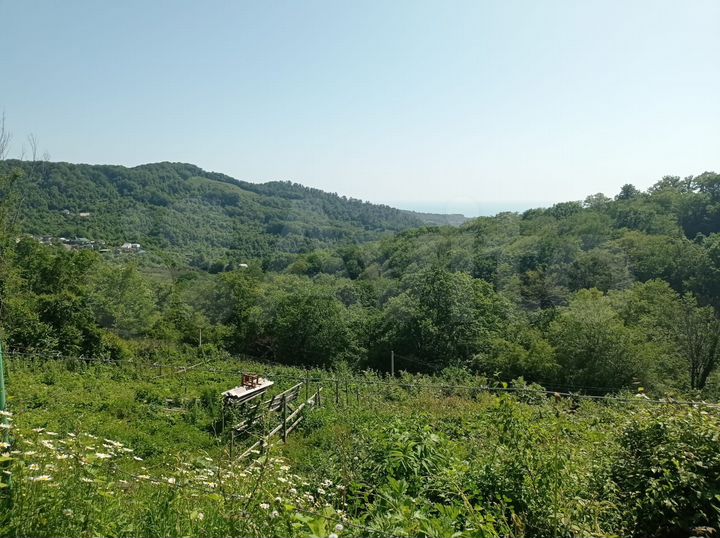 Участок 6 сот. (СНТ, ДНП)