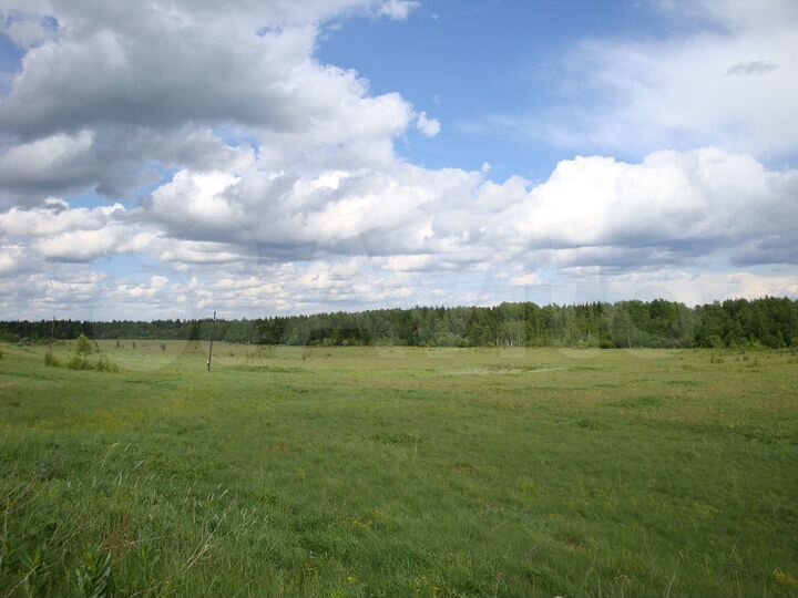 Участок 6,5 га (СНТ, ДНП)