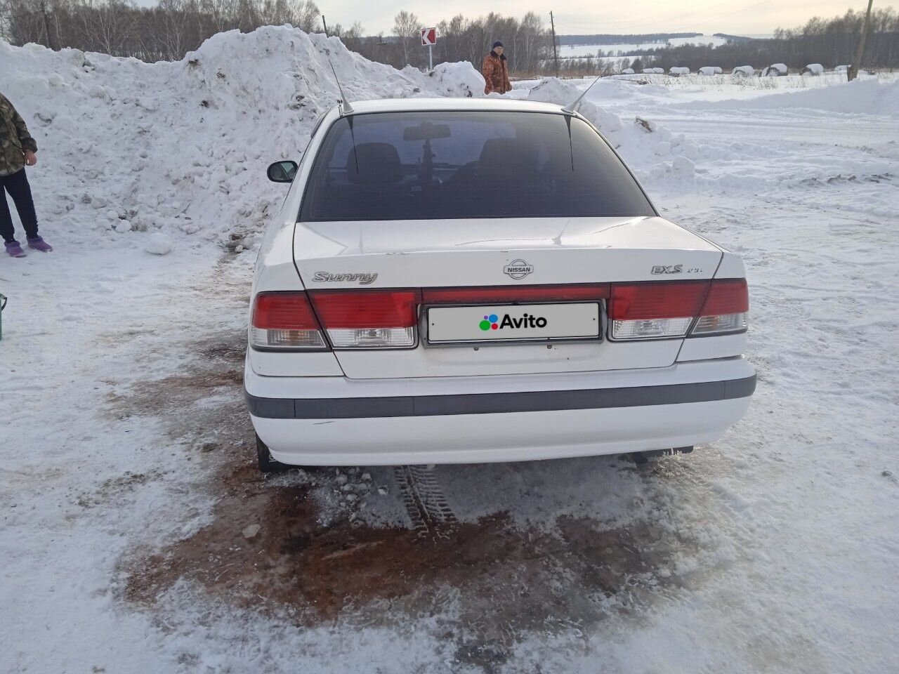 Nissan Sunny: фото владельца