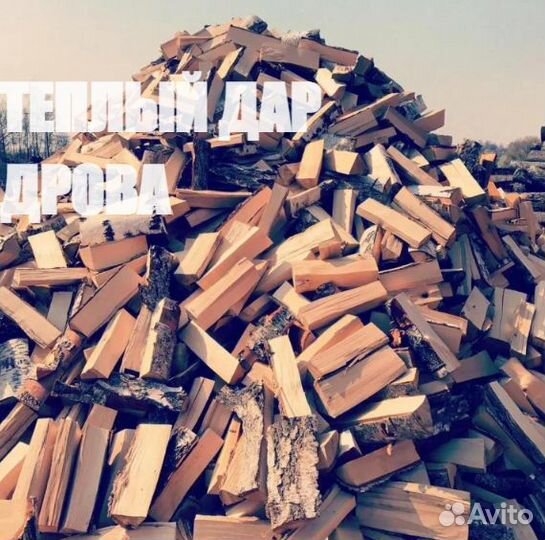 Дрова колотые березовые