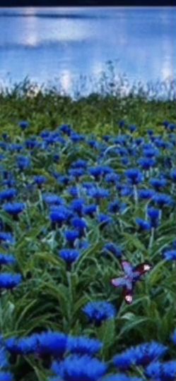 Участок 7 сот. (ИЖС)