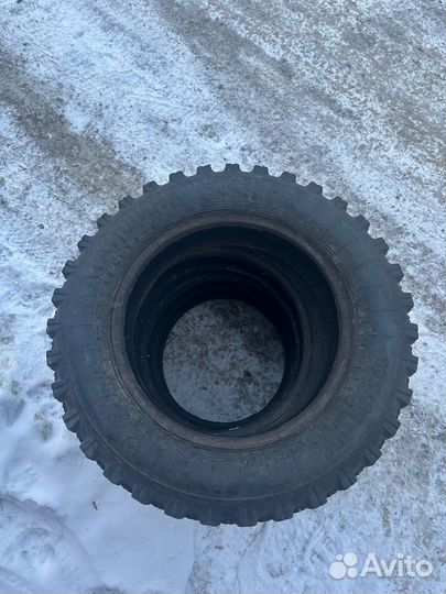 Алтайшина Forward Professional 359 175/80 R16C 30Y