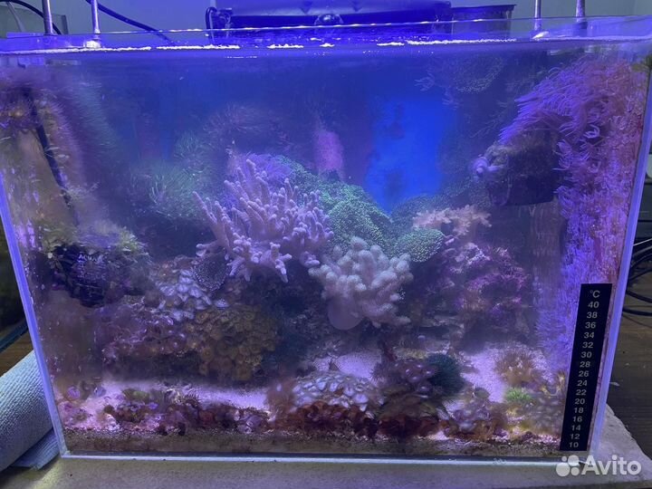 Морской аквариум без тумбы