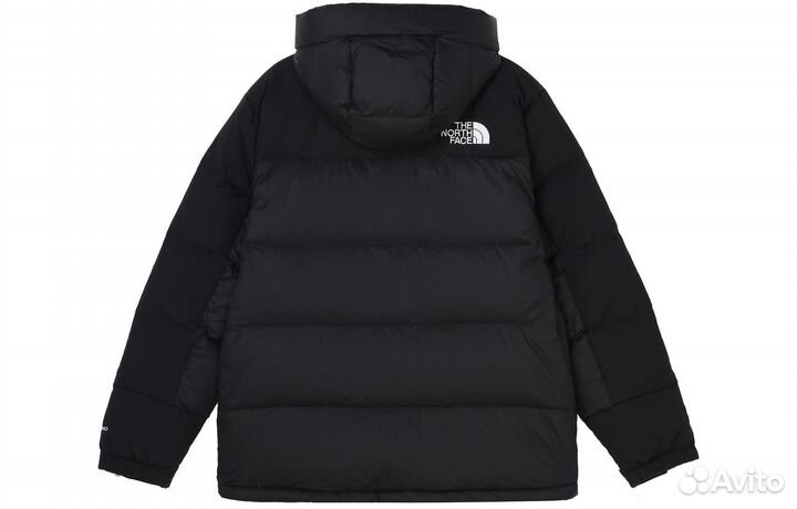THE north face Down Jacket Men Black (M)(68)